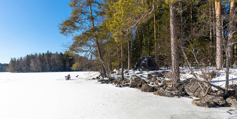 Dometeltta lattialla musta