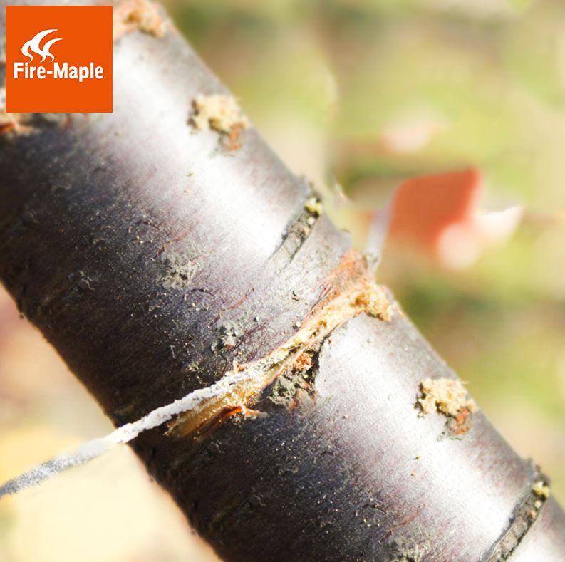 Vaijerisaha Fire Maple